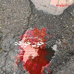 تصویر جلد کتاب صوتی خون خورده