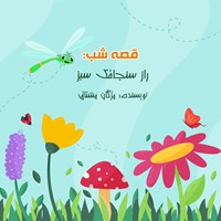 تصویر جلد کتاب صوتی قصه شب: راز سنجاقک سبز