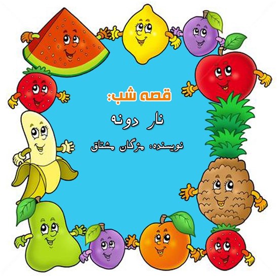 تصویر جلد کتاب صوتی قصه شب: ناردونه