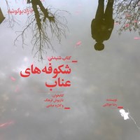 کتاب صوتی شکوفه‌های عناب اثر رضا جولایی