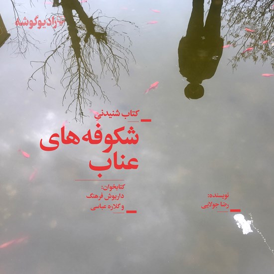 تصویر جلد کتاب صوتی شکوفههای عناب