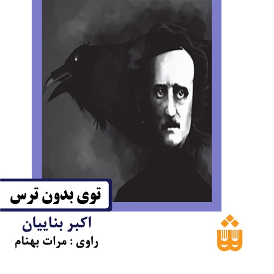 تصویر جلد کتاب صوتی توی بدون ترس