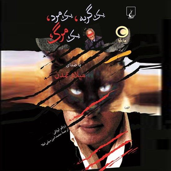 تصویر جلد کتاب صوتی یک گربه، یک مرد، یک مرگ