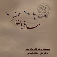 تصویر جلد کتاب صوتی مسافران صَفر ۱