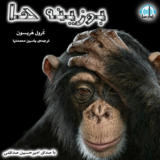 تصویر جلد کتاب صوتی بوزینهها