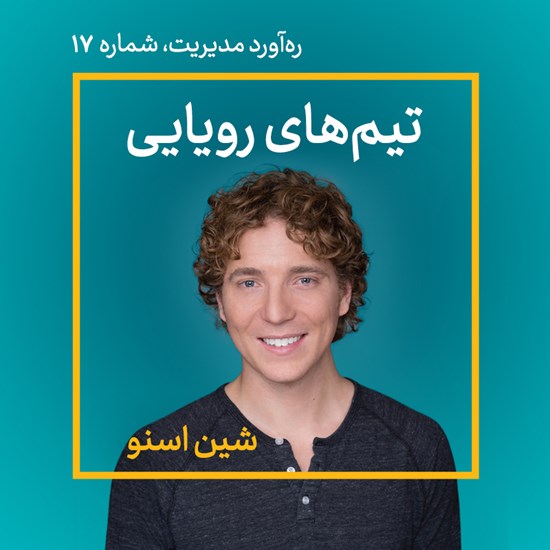 تصویر جلد کتاب صوتی تیمهای رویایی