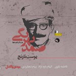 تصویر جلد کتاب صوتی پوست نارنج