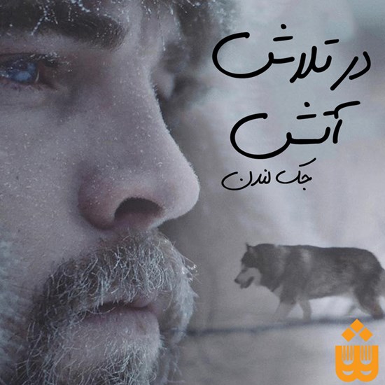 تصویر جلد کتاب صوتی در تلاش آتش