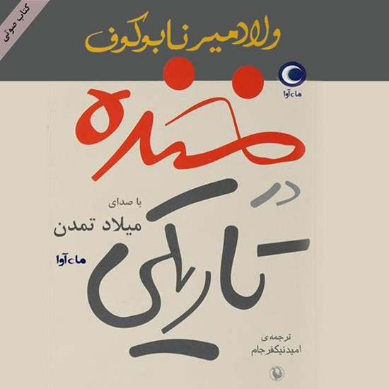 تصویر جلد کتاب صوتی خنده در تاریکی