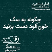 تصویر جلد کتاب صوتی چگونه به سگ خون‌آلود دست بزنید