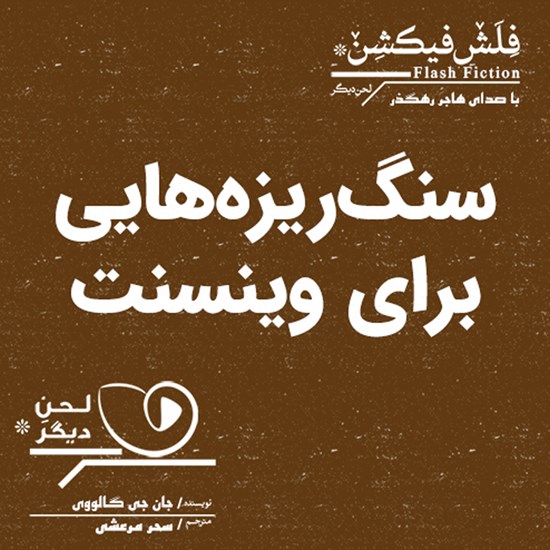 تصویر جلد کتاب صوتی سنگ ریزه هایی برای وینسنت