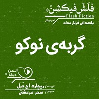 تصویر جلد کتاب صوتی گربه‌ نوکو