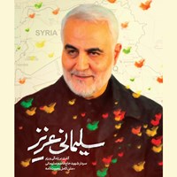 تصویر جلد کتاب صوتی سلیمانی عزیز
