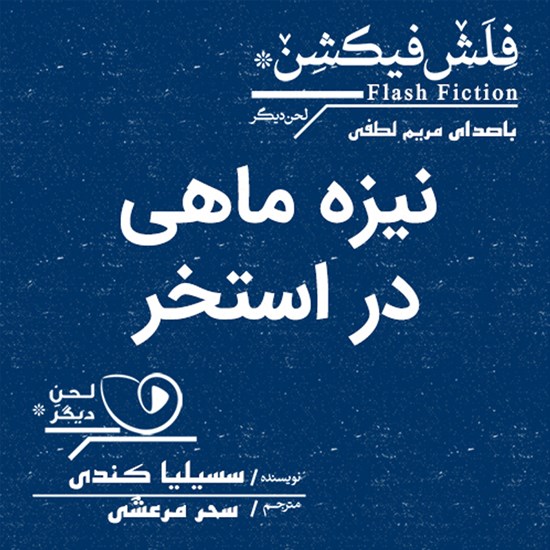 تصویر جلد کتاب صوتی نیزه‌ماهی در استخر