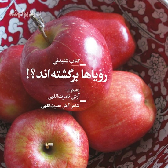 تصویر جلد کتاب صوتی رویاها برگشتهاند ؟!