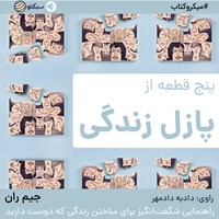 کتاب صوتی پنج قطعه از پازل زندگی (خلاصه کتاب) اثر جیم ران