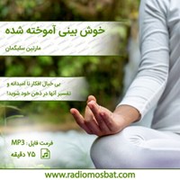 تصویر جلد کتاب صوتی خوش بینی آموخته شده