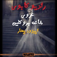 تصویر جلد کتاب صوتی عروس خانه بروکلین