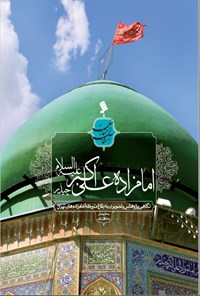 تصویر جلد کتاب امامزاده علی اکبر چیذر (ع)