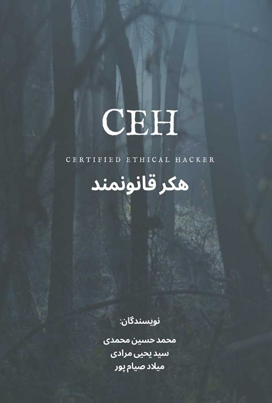 تصویر جلد کتاب هکر قانونمند
