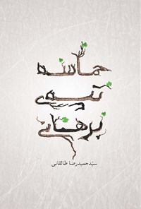تصویر جلد کتاب حماسه تپه برهانی