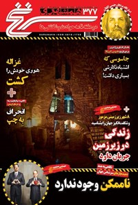 تصویر جلد کتاب دوهفته نامه همشهری سرنخ ـ شماره ۳۷۷ ـ نیمه دوم تیر ۱۴۰۰