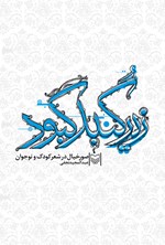 تصویر جلد کتاب زیر گنبد کبود: صور خیال در شعر کودک و نوجوان ایران