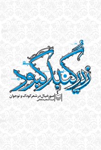 تصویر جلد کتاب زیر گنبد کبود: صور خیال در شعر کودک و نوجوان ایران