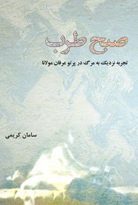 تصویر جلد کتاب صبح طرب