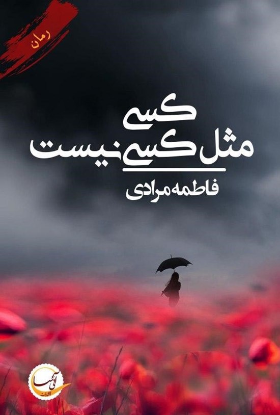 تصویر جلد کتاب کسی مثل کسی نیست