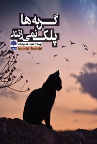 تصویر جلد کتاب گربه ها پلک نمی زنند