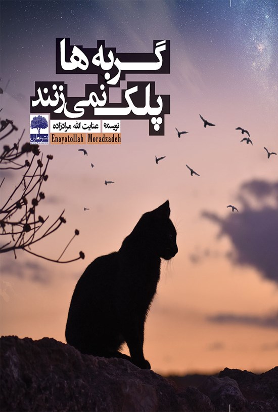 تصویر جلد کتاب گربه ها پلک نمی زنند