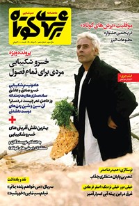 تصویر جلد کتاب ماهنامه برش های کوتاه ـ شماره دهم ـ مرداد ۱۴۰۰