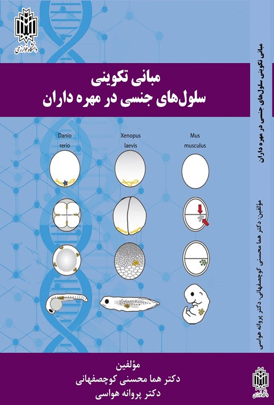 تصویر جلد کتاب مبانی تکوینی سلول های جنسی در مهره داران