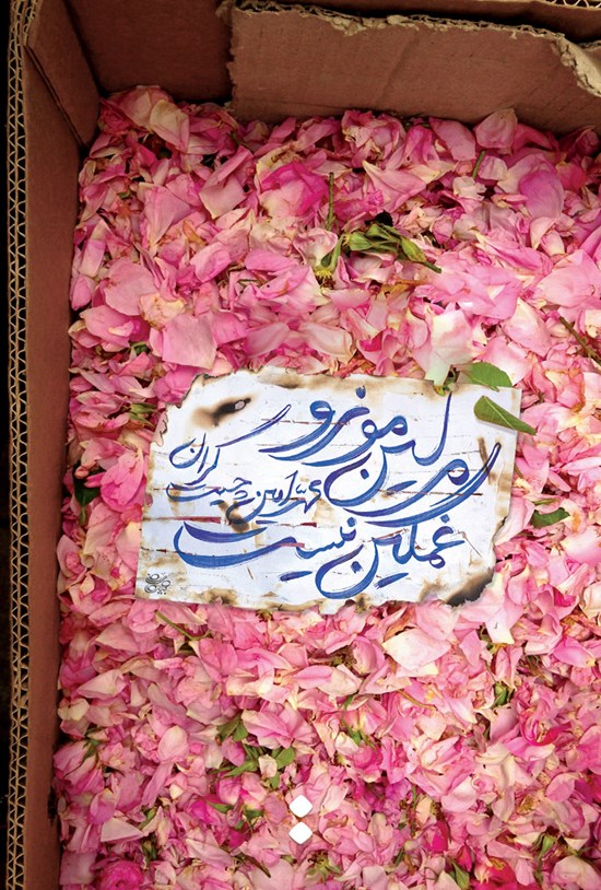 تصویر جلد کتاب مرلین مونرو غمگین نیست