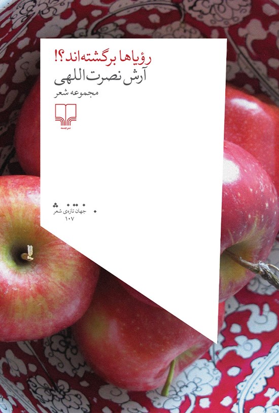 تصویر جلد کتاب رویاها برگشته اند؟!