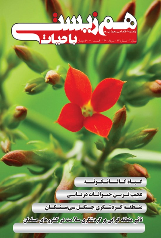 تصویر جلد کتاب ماهنامه همزیستی با حیات ـ شماره ۱۷ـ مرداد ۱۴۰۰