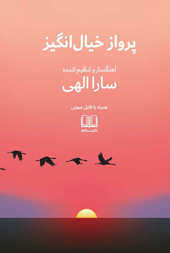 تصویر جلد کتاب پرواز خیال انگیز