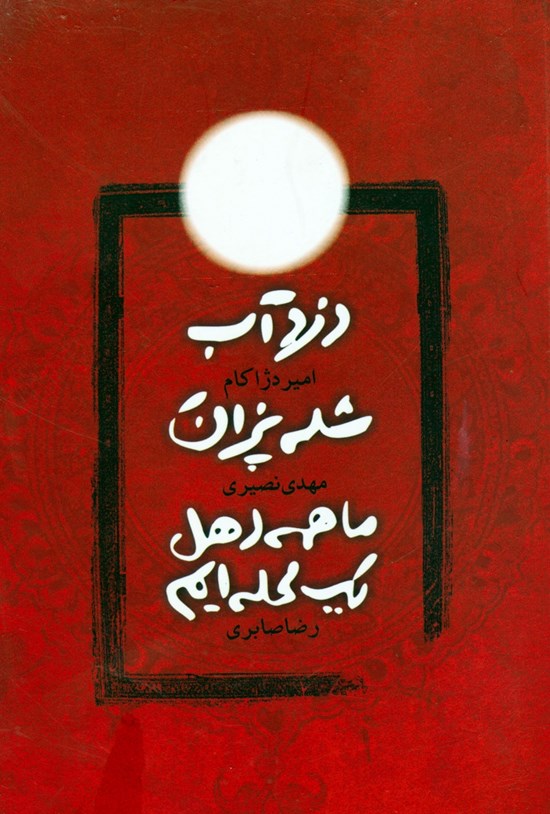 تصویر جلد کتاب دزدآب، شلهپزان، ما همه اهل یک محلهایم
