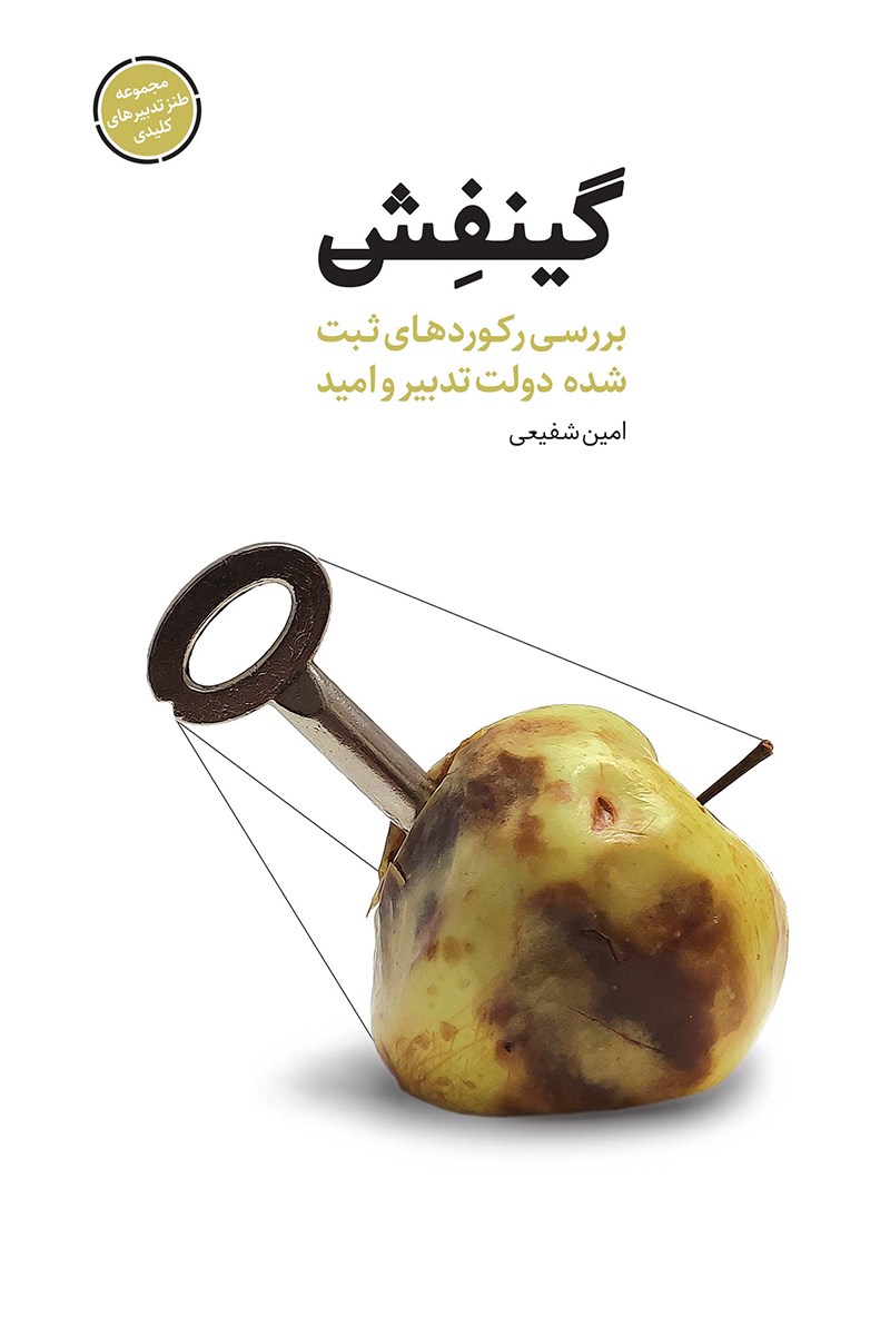 تصویر جلد کتاب گینفش