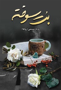 کتاب بت سوخته اثر رویا رستمی (روها)