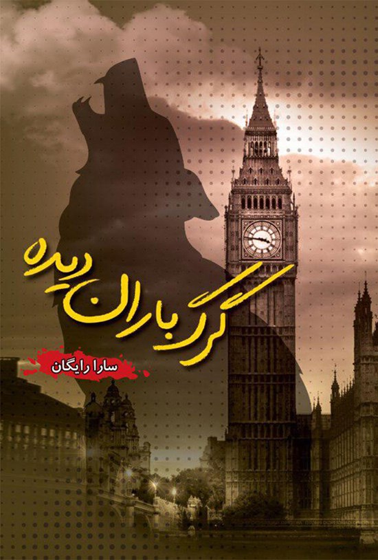 تصویر جلد کتاب گرگ باران دیده