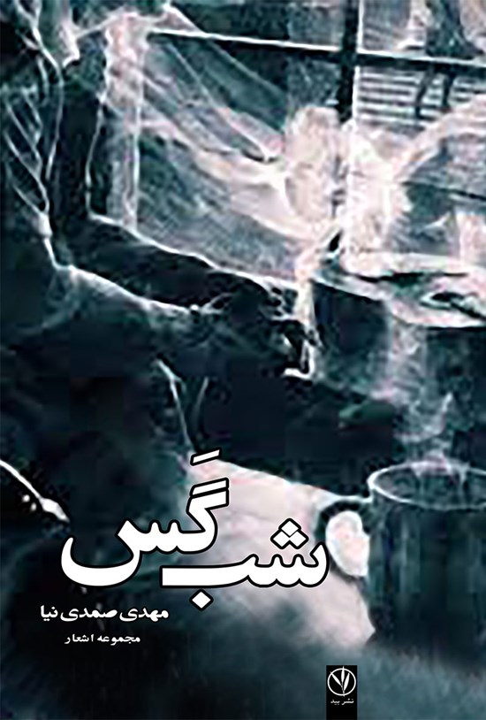 تصویر جلد کتاب شب گس