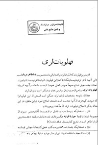 تصویر جلد کتاب فهلویات لری