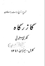 تصویر جلد کتاب گازر گاه