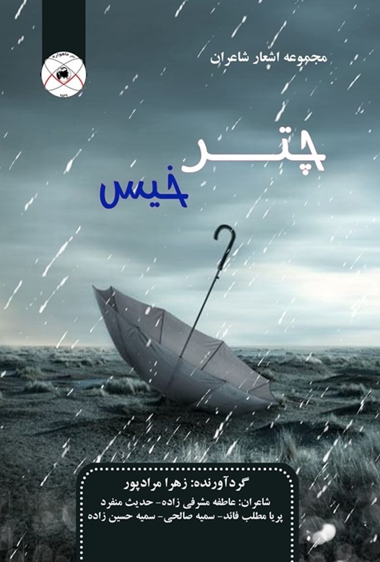 تصویر جلد کتاب چتر خیس