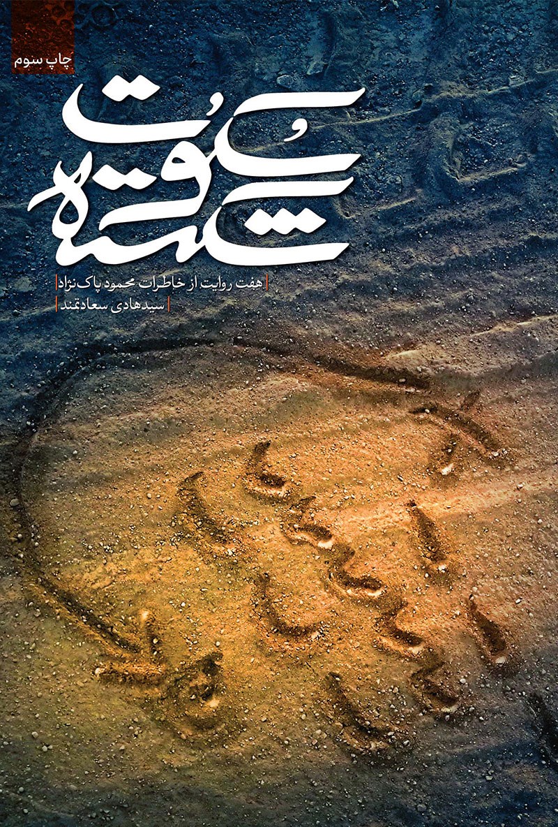 تصویر جلد کتاب سکوت شکسته