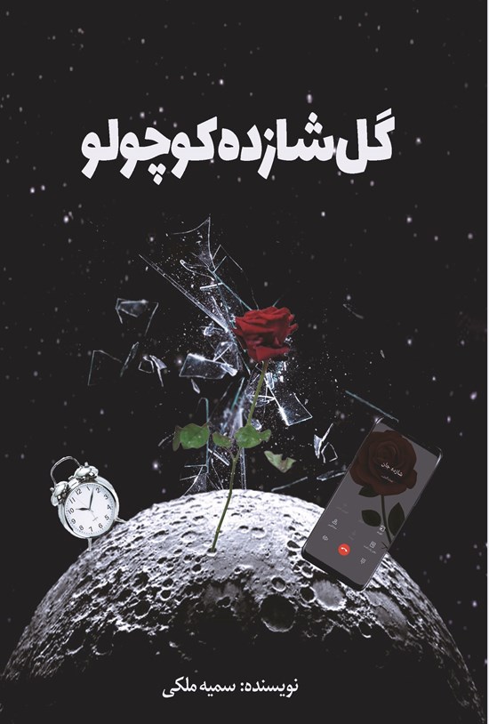 تصویر جلد کتاب گل شازده کوچولو