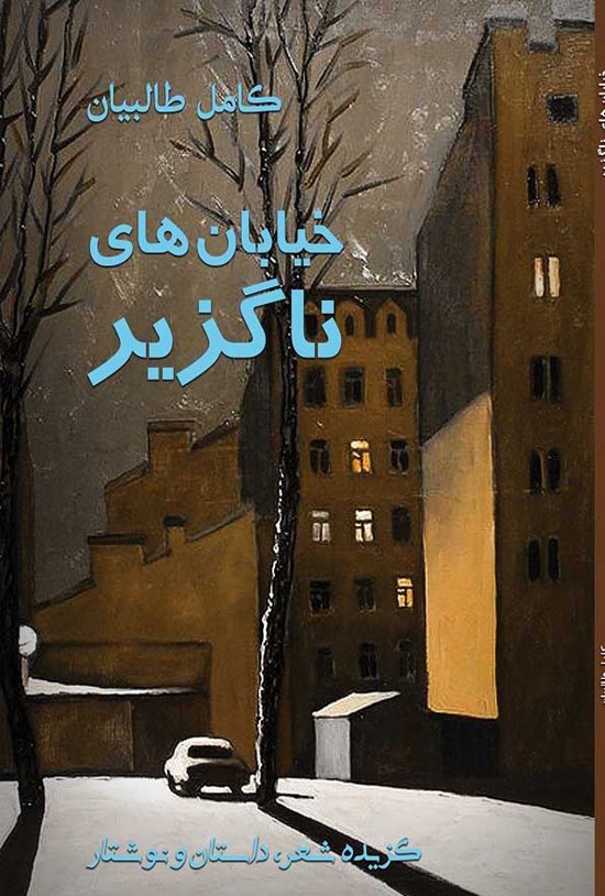 تصویر جلد کتاب خیابان های ناگزیر
