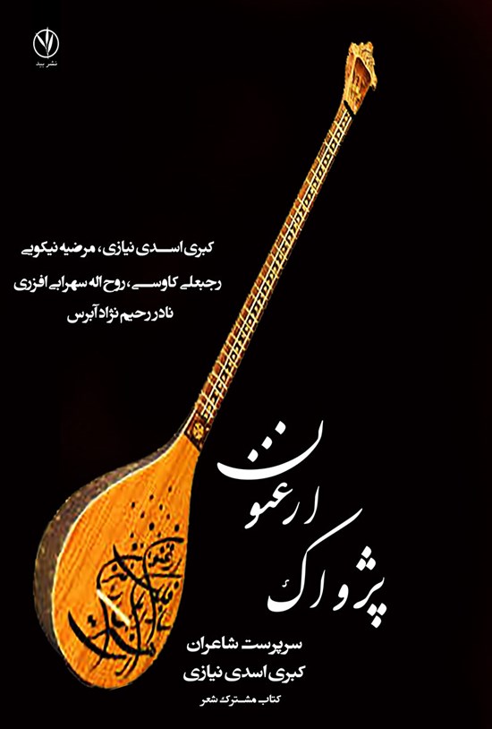 تصویر جلد کتاب پژواک ارغنون